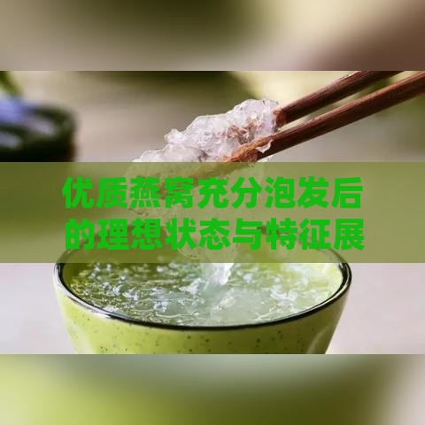 优质燕窝充分泡发后的理想状态与特征展现