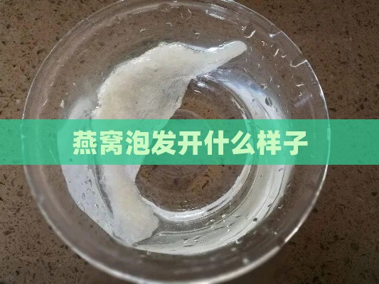 燕窝泡发开什么样子