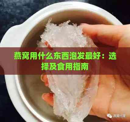 燕窝用什么东西泡发更好：选择及食用指南