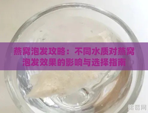 燕窝泡发攻略：不同水质对燕窝泡发效果的影响与选择指南