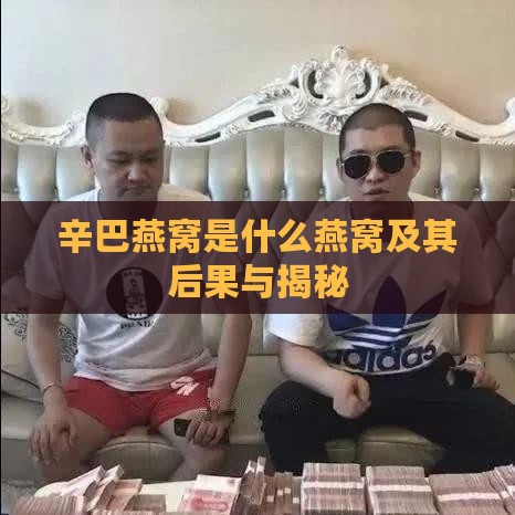 辛巴燕窝是什么燕窝及其后果与揭秘