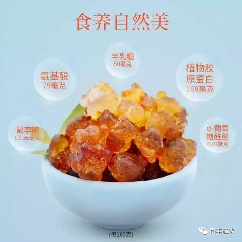 燕窝酥的美味体验：口感与营养价值探究