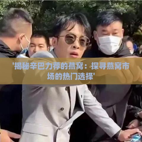 '揭秘辛巴力荐的燕窝：探寻燕窝市场的热门选择'