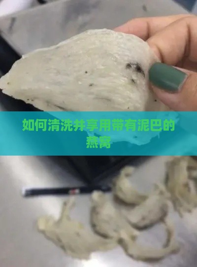 如何清洗并享用带有泥巴的燕窝