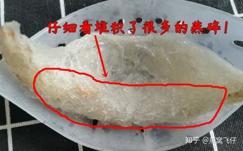 燕窝粘碎是什么意思：粘碎燕窝的特征与粘底的区别