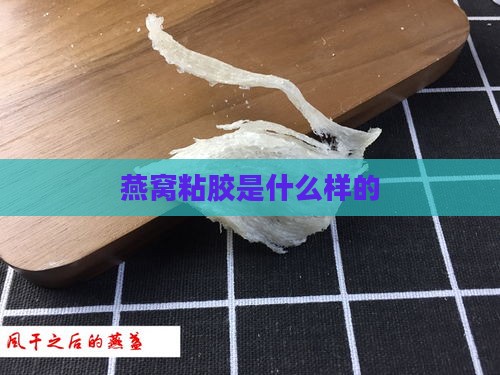 燕窝粘胶是什么样的