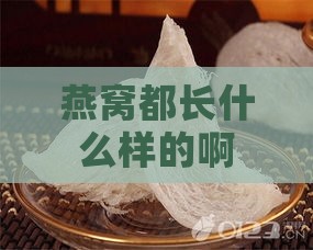 燕窝都长什么样的啊