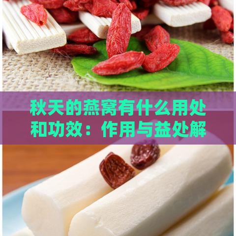 秋天的燕窝有什么用处和功效：作用与益处解析