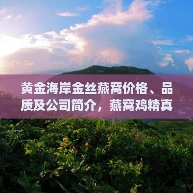 黄金海岸金丝燕窝价格、品质及公司简介，燕窝鸡精真假与冰糖燕窝价格一览