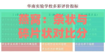 燕窝：条状与碎片状对比分析，哪一种更适合您的需求？