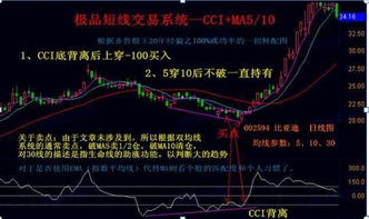 燕窝：条状与碎片状对比分析，哪一种更适合您的需求？