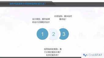 燕窝：条状与碎片状对比分析，哪一种更适合您的需求？