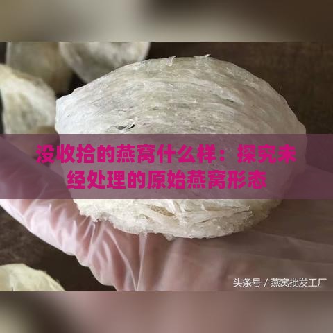 没收拾的燕窝什么样：探究未经处理的原始燕窝形态