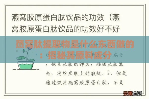 燕窝肽提取物是什么东西做的：揭秘其原料成分