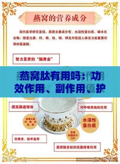 燕窝肽有用吗：功效作用、副作用、护肤品评价、价格及食用方法解析