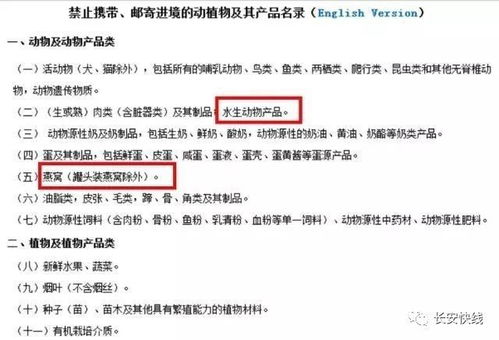 揭秘燕窝的别称：全面了解燕窝的多种名称及相关知识点