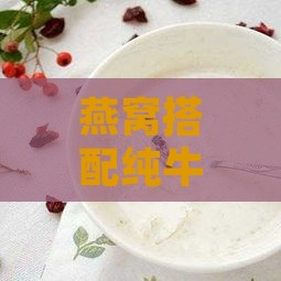 燕窝搭配纯牛奶的更佳食材选择与营养搭配指南