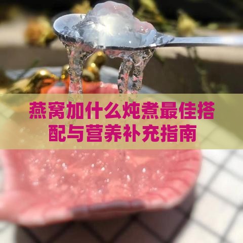 燕窝加什么炖煮更佳搭配与营养补充指南