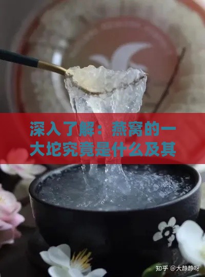 深入了解：燕窝的一大坨究竟是什么及其营养价值与食用方法