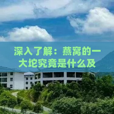 深入了解：燕窝的一大坨究竟是什么及其营养价值与食用方法