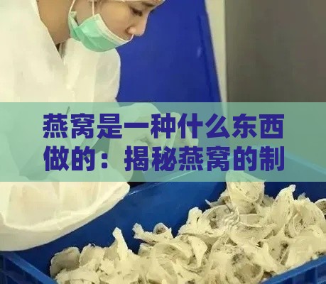 燕窝是一种什么东西做的：揭秘燕窝的制作原料与工艺过程