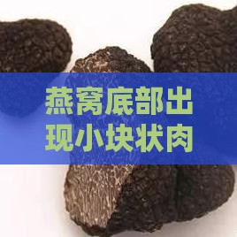 燕窝底部出现小块状肉质物质：原因、处理方法及食用安全指南