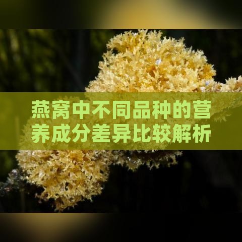 燕窝中不同品种的营养成分差异比较解析