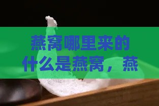 燕窝哪里来的什么是燕窝，燕窝来源及品质优劣比较分析