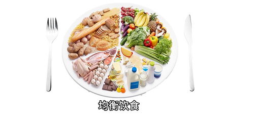 燕窝替代品全解析：探索多种天然食材的营养替代选择