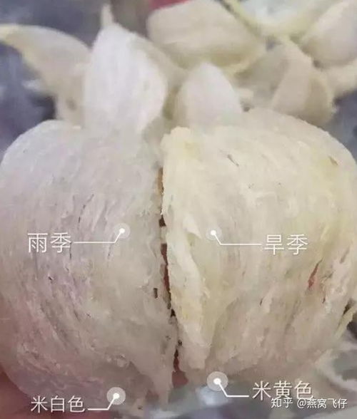 燕窝8A是什么级别