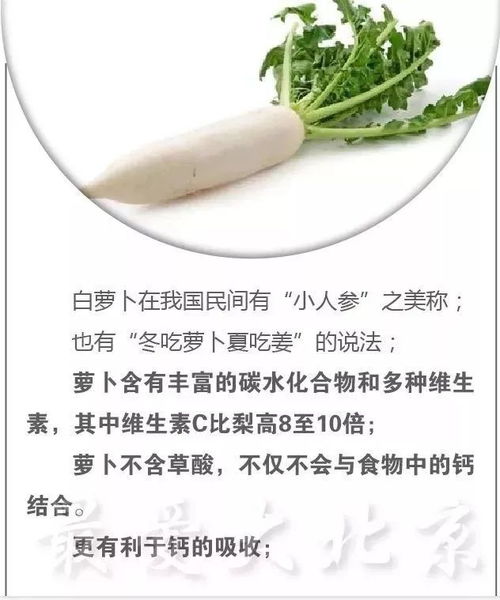 燕窝滋补肝脏的搭配差异：解析各类食材与燕窝的互补作用及区别