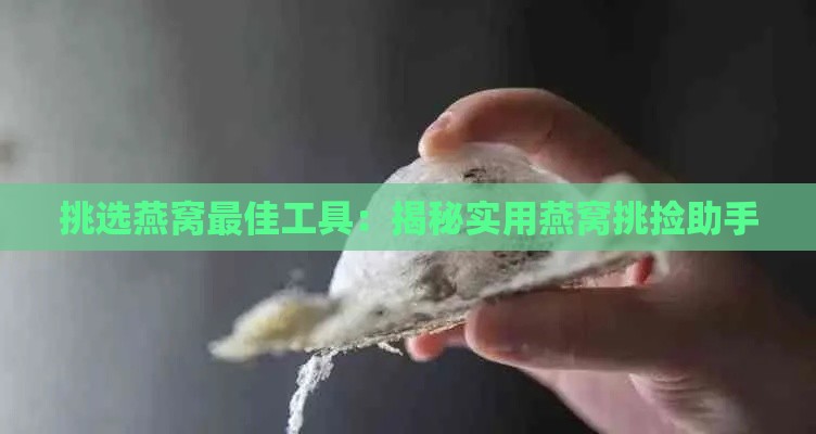 挑选燕窝更佳工具：揭秘实用燕窝挑捡助手