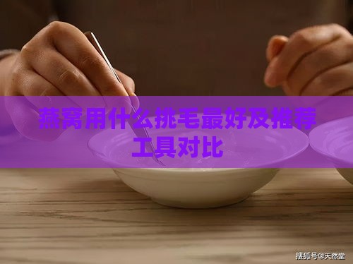 燕窝用什么挑毛更好及推荐工具对比