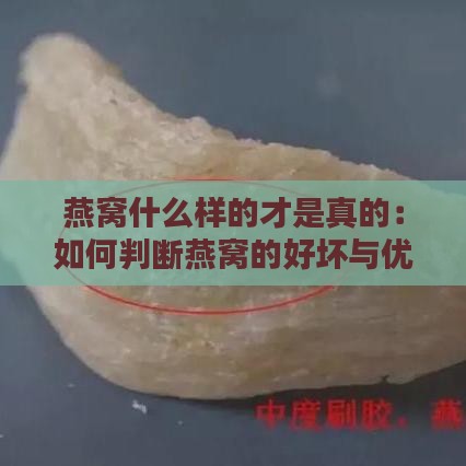 燕窝什么样的才是真的：如何判断燕窝的好坏与优质标准