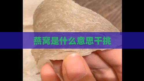 燕窝是什么意思干挑