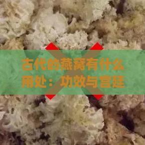 古代的燕窝有什么用处：功效与宫廷食用考究