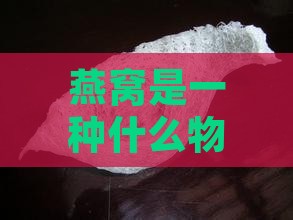 燕窝是一种什么物质