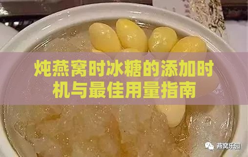 炖燕窝时冰糖的添加时机与更佳用量指南