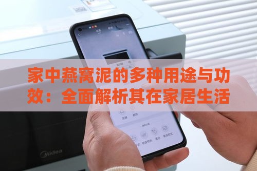 家中燕窝泥的多种用途与功效：全面解析其在家居生活中的应用