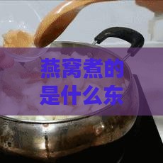 燕窝煮的是什么东西