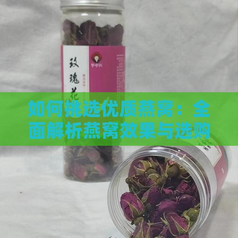 如何挑选优质燕窝：全面解析燕窝效果与选购指南