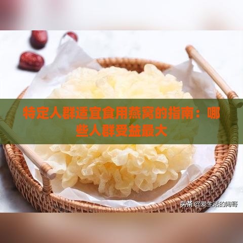 特定人群适宜食用燕窝的指南：哪些人群受益更大