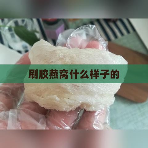 刷胶燕窝什么样子的