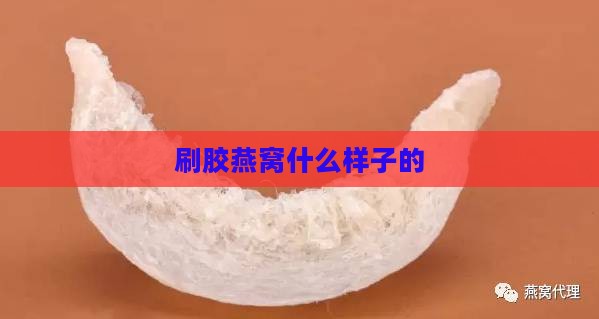 刷胶燕窝什么样子的