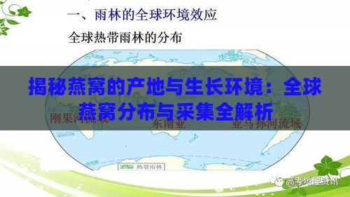 揭秘燕窝的产地与生长环境：全球燕窝分布与采集全解析