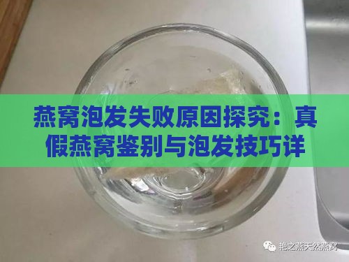 燕窝泡发失败原因探究：真假燕窝鉴别与泡发技巧详解