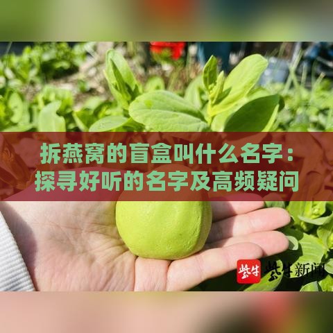 拆燕窝的盲盒叫什么名字：探寻好听的名字及高频疑问汇总