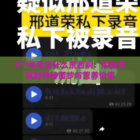 9个燕窝是什么东西啊：揭秘燕窝的神秘面纱与营养价值