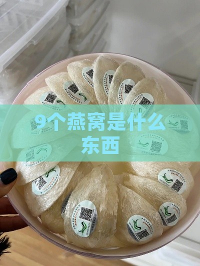 9个燕窝是什么东西