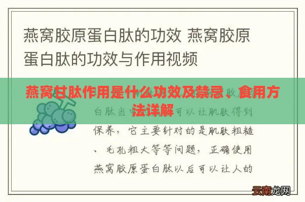 燕窝甘肽作用是什么功效及禁忌、食用方法详解